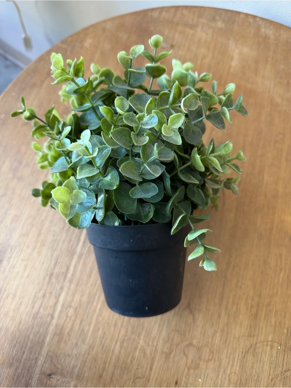 IKEA Green Faux Eucalyptus in Black Pot
